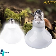 AINTP Basking Light Lizard Heater Temperature Controller Halogen Bulb