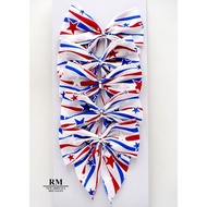 BW602-13 Christmas American Flag Style Bow