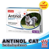 [EXP8/25] Antinol แมว cat 60 caps วิตามินบำรุงข้อสำหรับแมว แอนทินอล