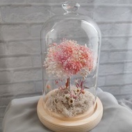 許願滿天星樹 玻璃花盅-永生花玻璃鐘罩 畢業禮物畢業 老師禮物