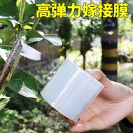 Fruit Tree Grafting Film No Knots 3cm5cm6cm8cm10cm Packaging Stretching Film Takeaway Film PE Small 