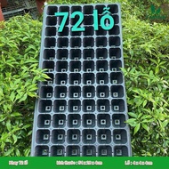 Combo of 30 seed trays with 72 holes, 100g