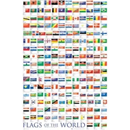 Flags of the World Educational Wall Art Print on Canvas, Decorative Poster 0415st