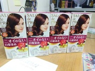 Salon de Pro 無味白髮染髮劑 5B/4R