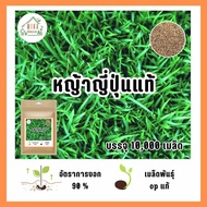 เมล็ดพันธุ์ หญ้าญี่ปุ่นแท้ บรรจุ 10000 เมล็ด