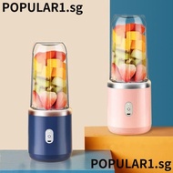 POPULAR Juice Extractor, Plastic USB Rechargeable Handheld Blender, Personal with 6 Blades Fruit Juicer Home