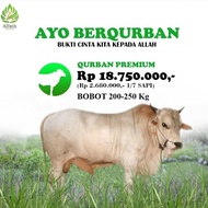 SEDEKAH HEWAN SAPI QURBAN BOBOT 200 - 250 KG DI YAYASAN AL-FATIH
