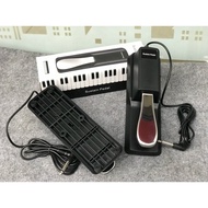 Sustain pedal - sustain pedal