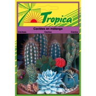 Cactus Seeds By Tropica - Exotic & Drought-Tolerant Variety Mix