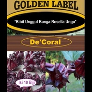 Bibit Unggul Bunga Rosella Ungu | Benih Bunga Rosella Ungu