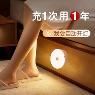 Human Body Sensor Light Bedroom Sleep Light Household Aisle Smart Bedside Aisle Light Sound Light Co