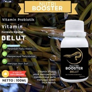 Ikan Nila Vitamin Ikan Nila Mas Lele Bawal patin tawes gabus gurame betok papuyu wader nilem Cepat B