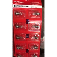 12 HEADLIGHT BULB ORIGINAL HGP H6 AUTOMATIC DUCKVOLT