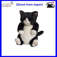 【Direct from Japan】Chibisome Cuddly cat plush toy