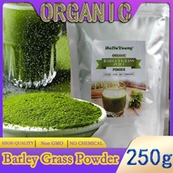 barley powder pure organic Organic Barley Grass Powder original 250g barley grass official store Weight Loss Barley Health Matcha Beverage