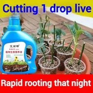 【500ml】pampaugat sa halaman growth hormone for plants Fast Rooting Rapid Rooting Rapid Growth Ultra 