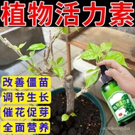 LP-8 JD🥦CM Plant Vitality Lotion Special for Flower Cultivation Bougainvillea Pachira Macrocarpa Christmas Tree Universa