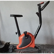 basikal senaman dalam rumah indoor exercise bike