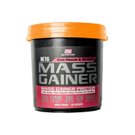 MASS GAINER M16 5.4KG TUB BS NUTRITION