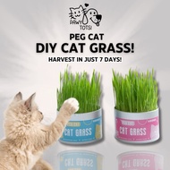 PEG CAT Cat Grass Wheatgrass Fast Growing Grass for Cats