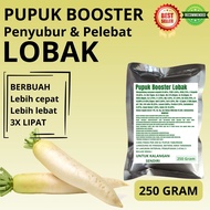 Pupuk Booster Lobak / Obat Booster Lobak / Pupuk Booster Lobak / Pupuk Lobak