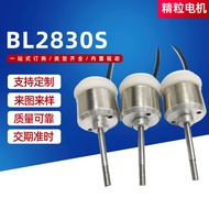 BL2830s AC Motor Pengurangan Segerak Motor Mikro Magnet Kekal Pengurangan Motor Elektrik Kelajuan Re