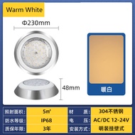 【Free Shipping】NexPool 23cm Stainless Steel Swimming Pool Light Led Pool Light Waterproof IP68 RGB S