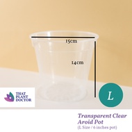 Transparent Clear Aroid Pot (L Size / 6 inches pot) (Diameter 15cm / Height 14cm)