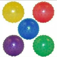25cm thorn ball toy