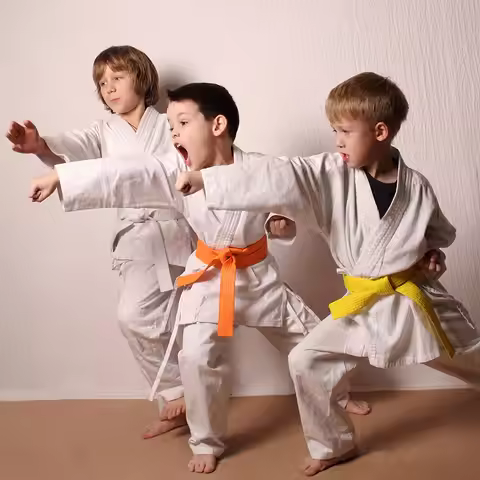 Karate Belt System White, Yellow, Orange, Green, Blue, Purple, Red, Brown, Black, Children, Youth, T