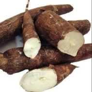 Fresh Cassava / Cassava
