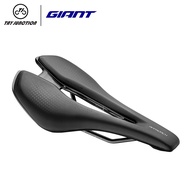 Giant Approach Saddle