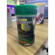 feifong fish pallet(flagtail fish/pleco)