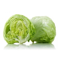 Iceberg Lettuce / Salad Bulat (500g)