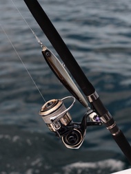 Daiwa Saltiga  14000-XH  (2020) 連多一個杯