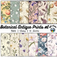 12 Sheets Botanical Antique Prints 1 by byte studio | Cardstock Craft Paper Junk Journal Stationery