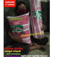 Pillow+bolster Kapok Original Solid 100% NO.1 In The World Elephant CAP I6L SK