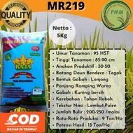 New Bibit Padi Unggul MR219 Padi MR 219 5kg