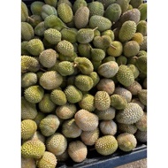 Musang King durian 10kg