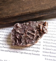 Barite 江西產地 重晶石 共生礦 天然礦石 原礦