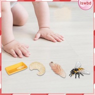 [lswbd] Life Cycle of Bee Toys Science Puzzle Animal Growth Cycle Set Birthday Gifts