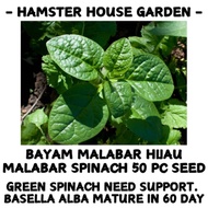 HSK [50pc] BAYAM MALABAR HIJAU | BASELLA ALBA MALABAR SPINACH | REMAYONG HIJAU | BIJI BENIH SAYUR