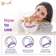 Natural Anxiety Stress Relief For Cats Dogs Rapid-relief For Pet Stress & Anxiety. Separation Anxiet