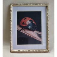 Photo Frame Wooden Frame/ Ch*mpagne Gold Carved 1820 GU - 4R (10x15cm) 6R/ (12mm 5x20) 8R/ (20x25cm)