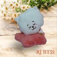 RJ BT21 Doll Sleeping