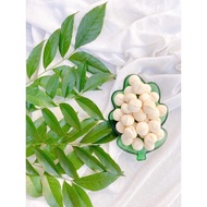 Nhân hạt Macca bóc sẵn daklak chuẩn chất lượng 100% TRẦN ANH FOOD Nhân hạt Macca hàng Đắk Lắk hàng c