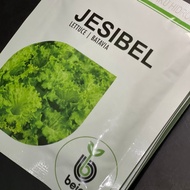 Benih Jesibel 1000 pills | Bejo | Selada | Bibit Hidroponik