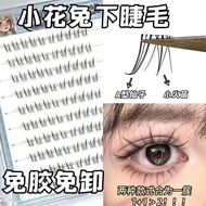 Self-Adhesive Single Cluster Lower Lashes – Little Flower Rabbit Style, Transparent Stem, Innocent M