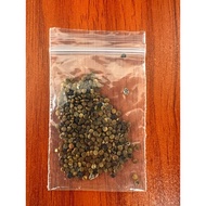 [FREE 20 PCS] Biji Benih Indigofera Zollingeriana (±230 biji = 2 gram)