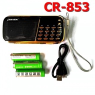 Craven CR-853 3-pin Buddhist sutra player and music player with FM Radio function